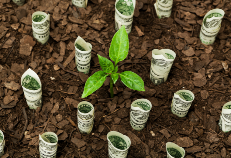 Pot ETFs Riding High on Potential DEA Ruling